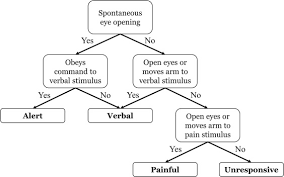 Image result for AVPU Scale