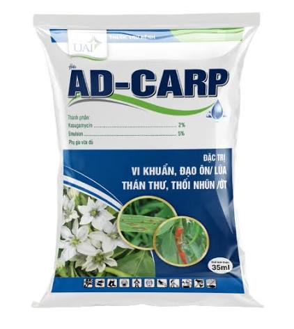 AD-Carp 2SL