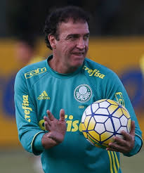 Resultado de imagem para cuca tecnico palmeiras