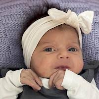 Start zum Monstermarsch Berlin-Brig geglückt