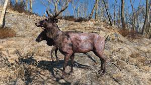 This mod changes the vanilla radstag kill move to a normal combat skill. Radstag Fallout 4 Fallout Wiki Fandom