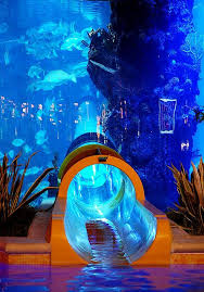 Aquarium Slide Las Vegas Hotels Places To Travel Water Slides