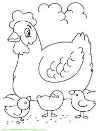 Gambar mewarnai ayam untuk anak paud dan tk. Pin Di Ayam
