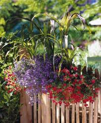 Möchten sie eine fledermaus basteln, dann nutzen sie eine unserer anleitungen und gestalten sie interessante und. Balkonkasten Ideen Fur Alle Jahreszeiten Zum Nachpflanzen Living At Home