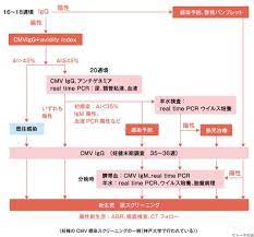 抗体検査でcmvに今感染しているのか 以前に感染していたのかがわかりますか トーチの会 先天性トキソプラズマ サイトメガロウイルス感染症 患者会 トキソプラズマ 検査 患者