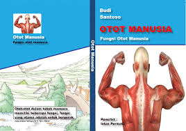 Jul 27, 2021 · kontraksi lapisan otot terjadi dengan gelombang yang bersifat periodik yang disebut gerak peristaltis pelvis.gerakan ini mendorong urin dari pelvis menuju ureter dan kandung kemih.dengan adanya pelapis pada pelvis dan ureter yang tidak dapat ditembus oleh substansi normal dalam urin, maka dinding struktur ini tidak menyerap cairan. Ide Pokok Teks Otot Manusia Mikirbae Com