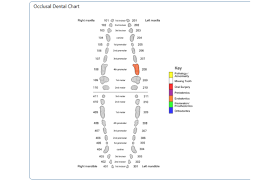 Screenshots Animal Dental Chart