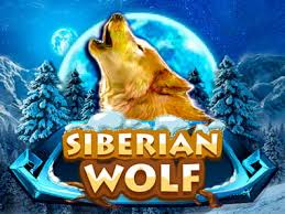 69 juegos de lobos gratis agregados hasta hoy. Lobo Siberiano Juego De Tragaperras Gratis Neonslots