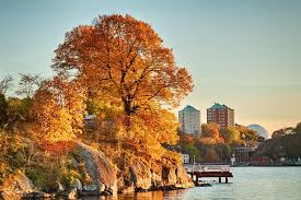 Busan i'park has won 5 matches, and gyeongnam triumphed in 8. Djurgarden Eine Der Schonsten Inseln Stockholms