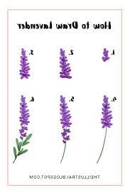We did not find results for: Draw Lavender Flowers Novocom Top