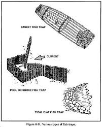 These fish traps are pretty efficient if well placed because they ...