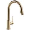 Champagne bronze kitchen light fixtures. Https Encrypted Tbn0 Gstatic Com Images Q Tbn And9gcrn Zi2n0uxyqvkmol134nypwnkwynn3mvfyulkwjo Usqp Cau