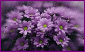 Image result for ‫عکس باران متحرک‬&lrm;