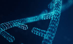 (biochemistry) a biopolymer of deoxyribonucleic acid (a type of nucleic acid) that has four different chemical groups, called bases: How Scientists Encoded The Wizard Of Oz Into Dna Ieee Spectrum