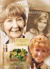 Diane Nerud's Instagram, Twitter & Facebook