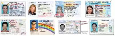 If you enter the wrong email address, you can try again with a different one. How To Find My Driver License Number Quora
