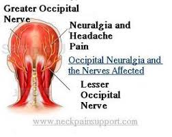 Pin On Reflexology
