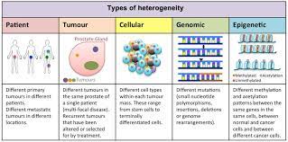 Tumor Heterogeneity And Therapy Resistance Implications For Future Treatments Of Prostate Cancer