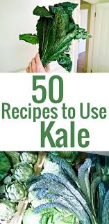 Recettes De Kale 50 Idees Pour Utiliser Le Kale Chocolate Zucchini Kale Recipes Recipe Using Kale Garden Recipes