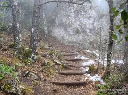 Ruta Circular De La Font Roja Al Menejador Sendas Y Leyendas