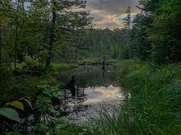 Star lake, a hamlet in clifton, is partially located in the town of fine. Cranberry Lake 50