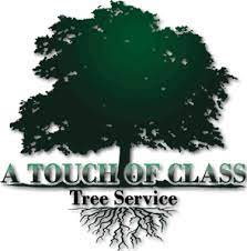 We can take care of all of your. Tree Service Denver Co A Touch Of Class Tree Service Free Estimate