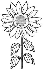 How To Draw A Sunflower Easy Step By Step Drawing Guides Sunflower Coloring Pages Flower Coloring Pages Sunflower Stencil