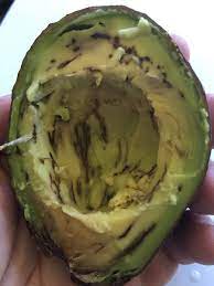 Dark Rooty Lines In An Avocado R Whatisthisthing