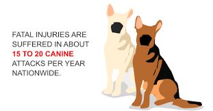 They are now taken to be the hottest, most uncomfortable part of summer in the. Dog Days Of Summer Mean Greater Risk For Dog Bites
