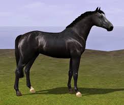 By simmiller 11th jun 2021 at 4:59pm. Sims 4 Horses