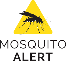 Mosquito Alert Map Api