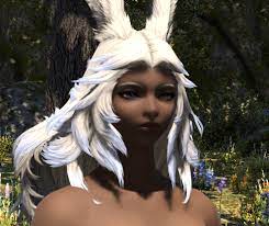 When A Hairstyle Clips With Your Coat That S One Thing But When It Clips With Your Body Itself Ffxiv