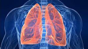 În bolile de plămâni este bine cunoscut efectul preparatelor din brad, de vindecare a afecțiunilor pulmonare. Cele Mai Frecvente Cinci Boli De PlÄmani