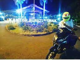 Ninja Turtle Helmet Cover Motorcycle Free Shipping Etsy Helmet Covers Photo Helmet