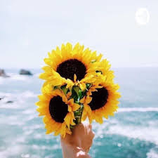 Choose your dates for more accurate prices. Suggestions On How Can You Improve Your English Language By Nurul Syahirah Binti Khairul Nizam D20181081658 A Podcast On Anchor