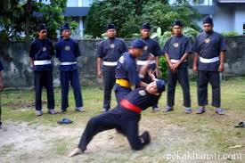Which, in the whole of malaysia, is. Silat Cekak Ustaz Hanafi Halimlading21 S Blog