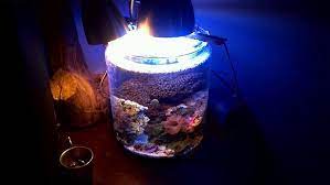 pin on let s get tanked