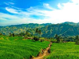 Pemandangan Di Alam Terbuka Dengan Landscape Persawahan Melandai Sampai Di Ujung Pandangan Tertumpu Pada Barisan Bukit Denga Pemandangan Kota Sukabumi Pedesaan