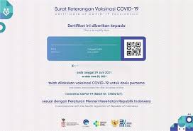 Cara cek sertifikat vaksin ke 2 di aplikasi pedulilindungi. Kamu Sudah Divaksin Yuk Cek Bagaimana Cara Unduh Sertifikat Vaksinasi Covid 19 Di Pedulilindungi Id Kredit Pintar