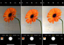 How To Use Iphone Xs Camera To Shoot Spectacular Photos Iphone Photography Taking Good Pictures With Iphone Creative Portrait Photography