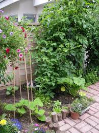 1) shade your garden it's time to construct some temporary shade for your garden. Designing My Patio Garden Making The Most Of Shade And Small Spaces Dengarden