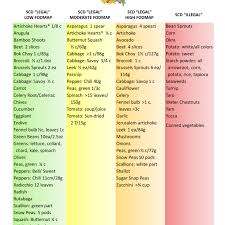 Sibo Specific Diet Food Guide My Sibo Recipes