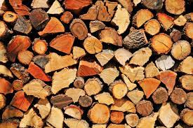 Les bois de chauffage qui dégageront le plus de chaleur sont le chêne, le hêtre, le charme, le frêne, l'orme et l'érable. Qu Est Ce Qu Un Bon Bois De Chauffage Hase France