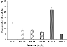 Image result for Cissus cornifolia