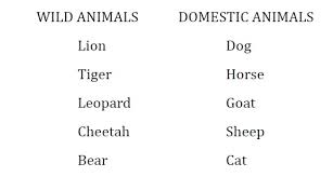 Like humans all animals also need a home to live in which protects them from rain, heat and cold. Puppy And I Azim Premji Foundation Puducherry