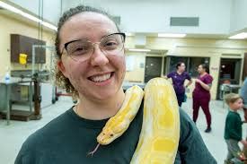 🐍 Sssssssssoooo much...