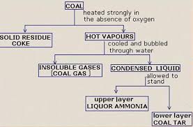 Revision Notes For Science Chapter 5 Coal And Petroleum