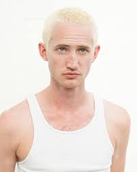 Digital Offering; Estival Update