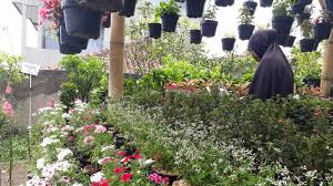 6 Best Flower Shops In Bandung What S New Bandung