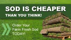 You might find that sights like st. 29 Rtf Sod Farms Ideas Sod Farm Tall Fescue